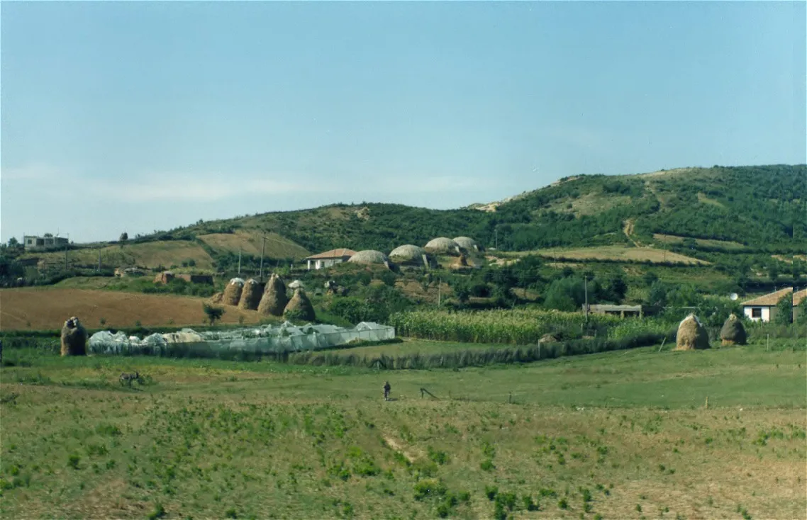 סלט כפרי אלבני עם גבינה לבנה ושמן זית, מנה צמחונית באלבניה