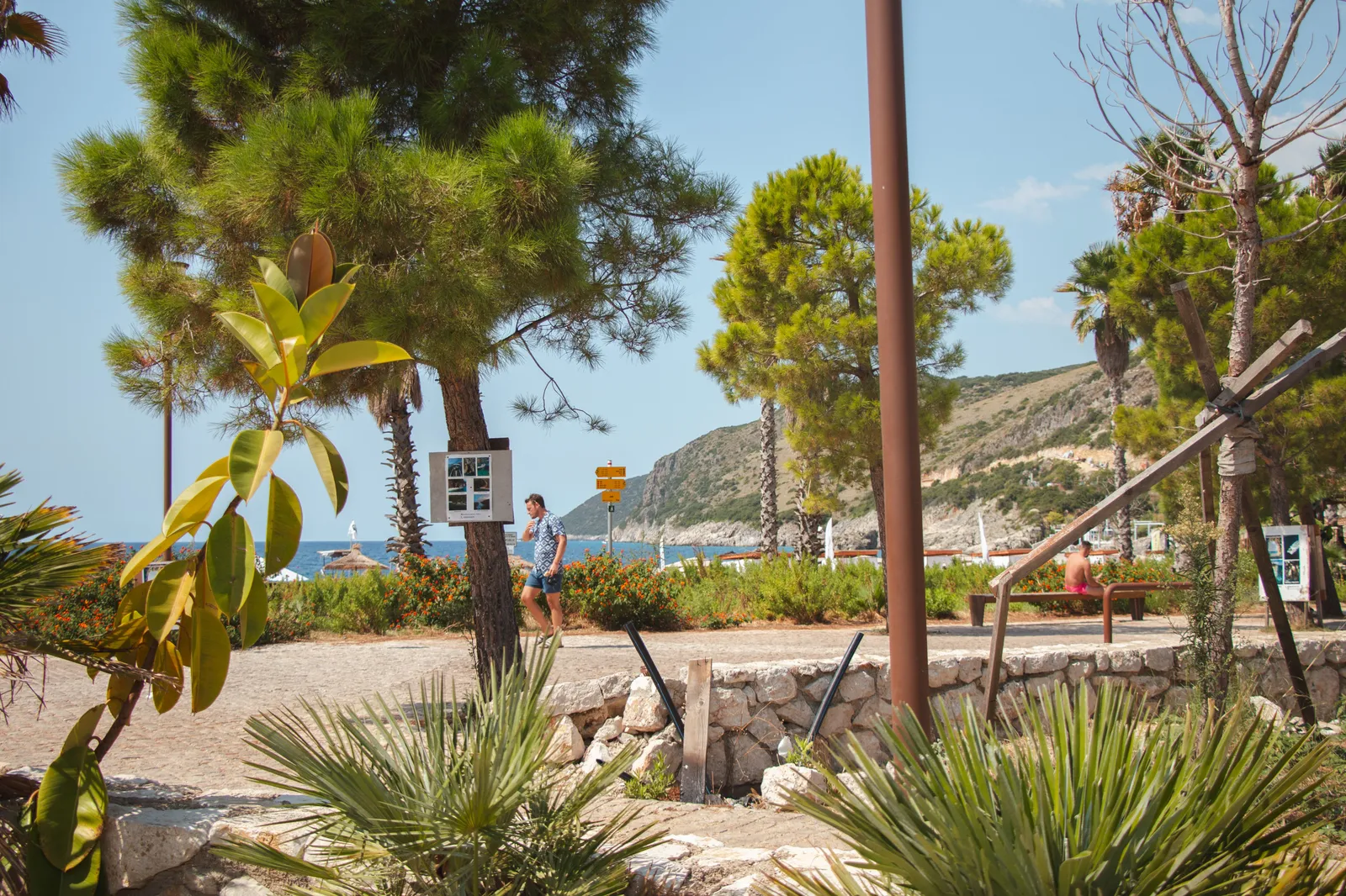 A seafront promenade shaded by pines and palms above a bay in daylight