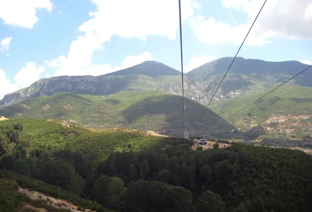 Cable car lines stretching above a green pine forest towards a high mountain ridge