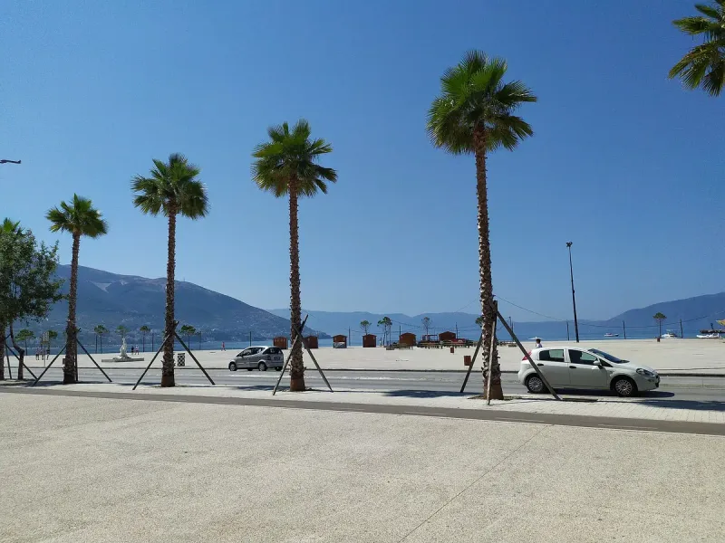 A promenade of tall palms facing the sea
