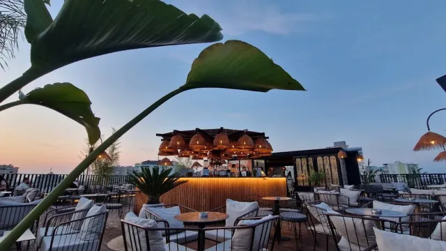 A covered wooden bar on a rooftop at dusk, armchairs around it and a large leaf in front