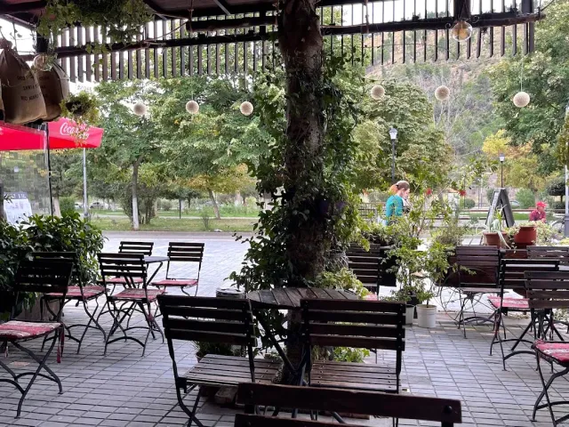 A covered terrace with wooden benches around a tree trunk and hanging lanterns, with a green hill behind
