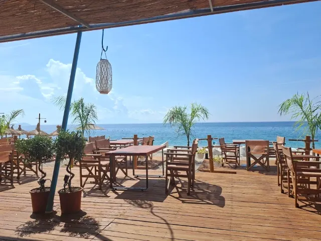 A shaded wooden deck with tables and director's chairs, potted plants and palms facing a turquoise sea