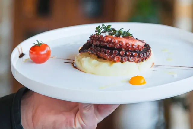A hand holding a plate with an octopus tentacle on mash, a cherry tomato and a dot of yolk