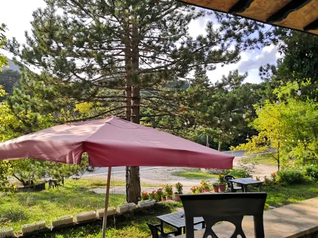 A view from a terrace of a red parasol, pine trees, a road and green hills