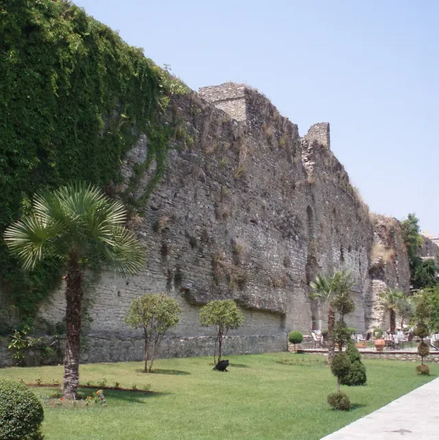 A high stone wall draped in ivy above a lawn with palm trees