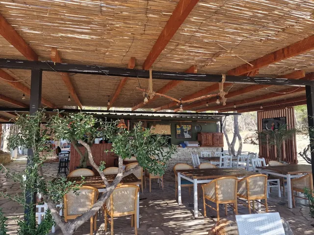 A reed-covered terrace with wooden beams, wicker chairs and a young olive tree in front