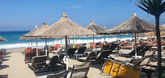 Rows of sun loungers and straw parasols on a beach, white waves and a palm at the side