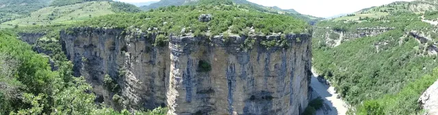 Vertical white rock walls of a deep canyon with vegetation along the rim