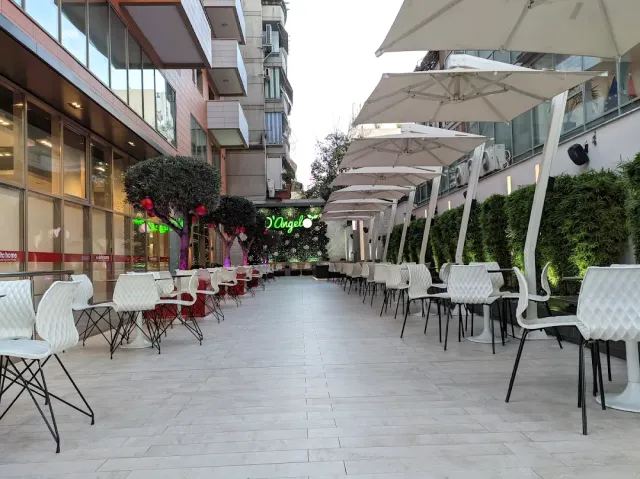 A paved passage with white chairs, large parasols and trimmed olive trees in pots