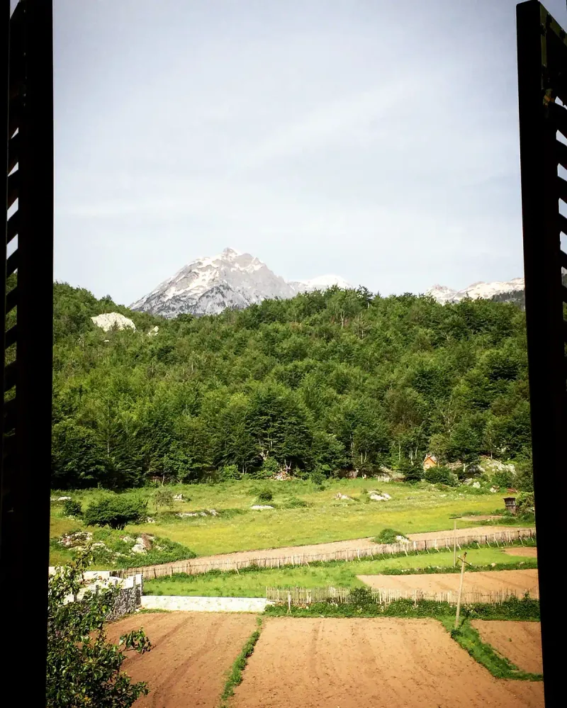A green valley facing a snow capped peak