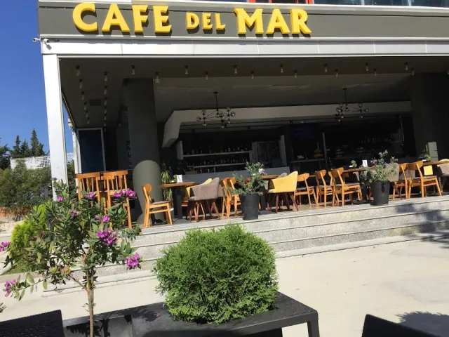 An open cafe frontage with wooden tables on a raised terrace and shrubs in front