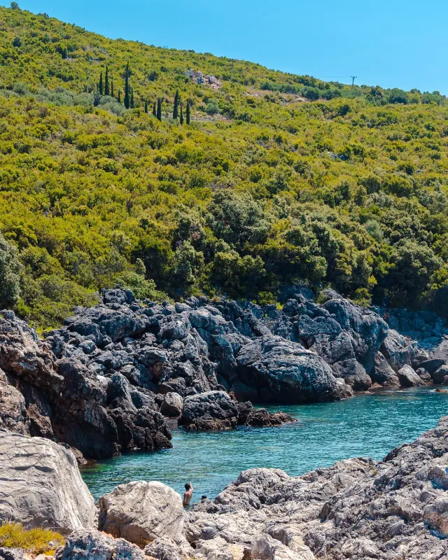 Clear turquoise water in a small rocky cove surrounded by low vegetation