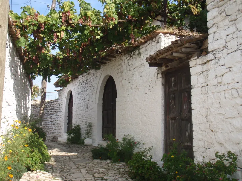 A stone paved lane along a whitewashed wall with arched windows, under a vine trellis heavy with grapes
