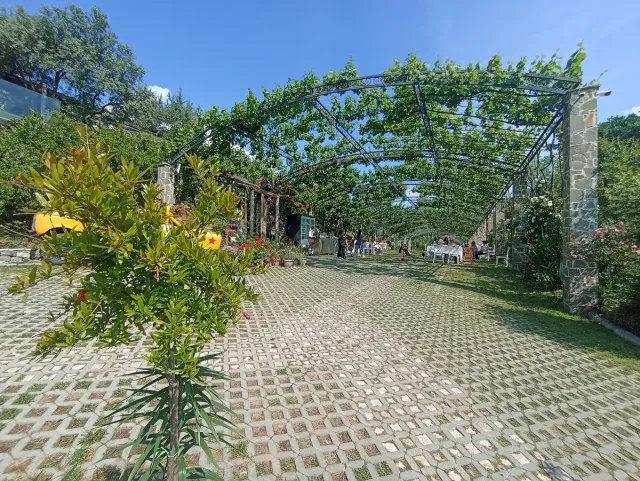 A green vine pergola over a stone courtyard with set tables and a flowering garden