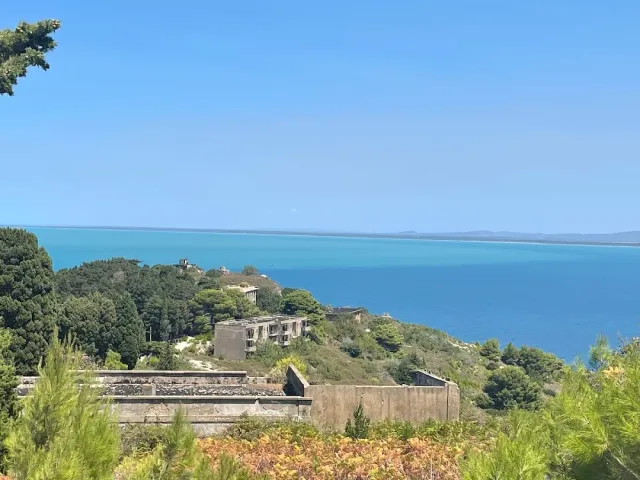 Abandoned concrete buildings among pine trees on a slope, facing a blue sea and a coastline on the horizon