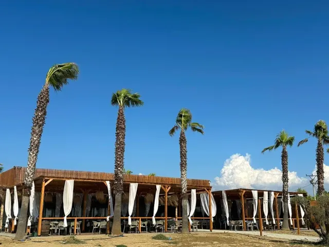 An open seating pavilion with white curtains, surrounded by tall palm trees under a blue sky