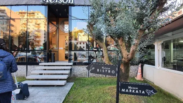 A glass building with entrance steps, an olive tree in front and black arrow signs on the lawn