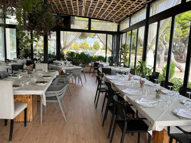A glazed hall with a reed ceiling, white curtains, set tables and hanging plants
