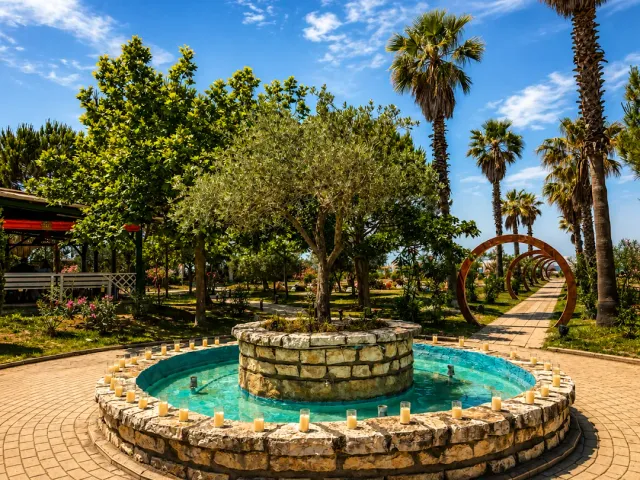 A round stone fountain with a tree in the middle, tall palms and a paved path in a garden
