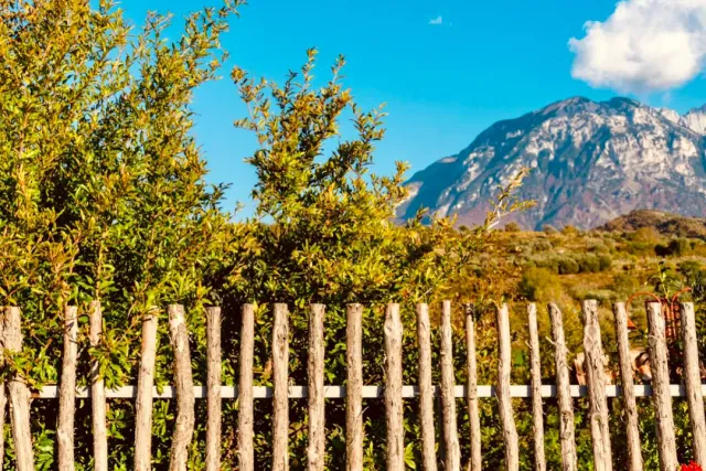 A rough branch fence in front of shrubs, and a rocky mountain ridge under a blue sky