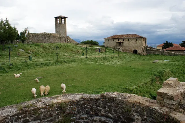 Stone fortress walls with a clock tower above a green meadow with grazing sheep