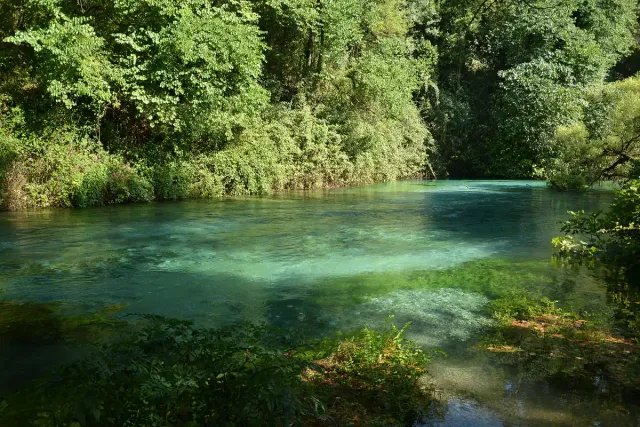 A spring pool in deep turquoise and green shades surrounded by dense vegetation