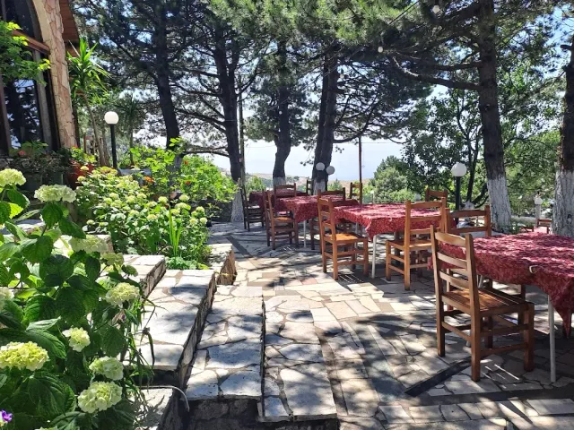 A stone terrace under pine trees with red checked cloths and white flowering bushes