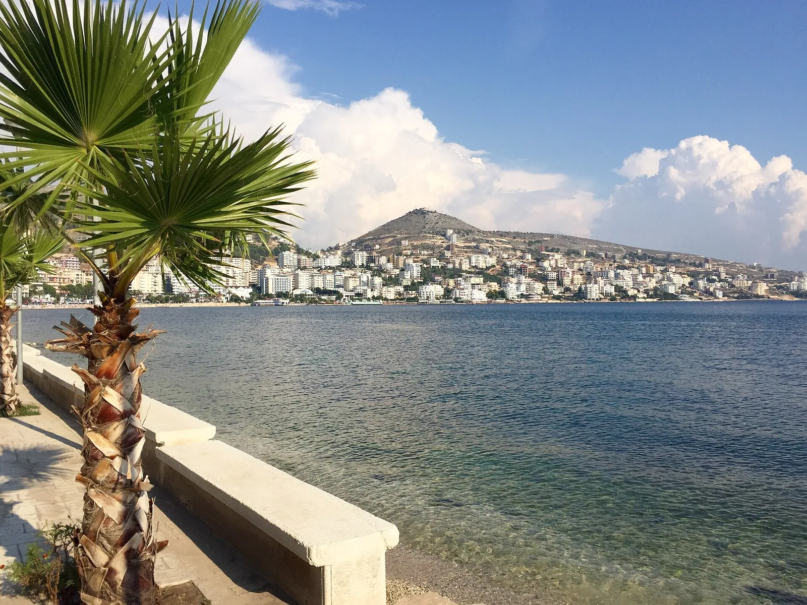 Palm trees on the Saranda waterfront promenade with the town curving around its blue bay